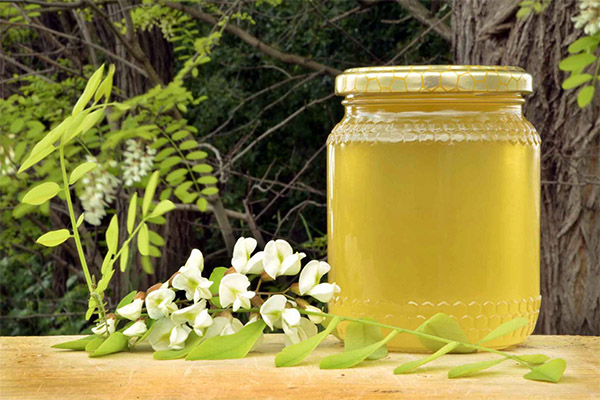 Výhody a poškodenie agátového medu