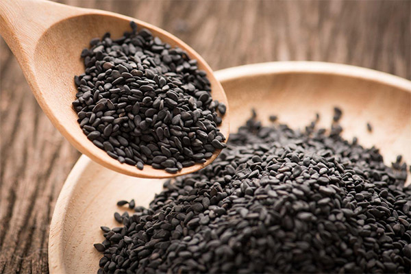 Výhody a poškodenia čiernych sezamových semien