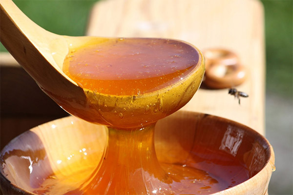 Os benefícios e malefícios do mel das montanhas