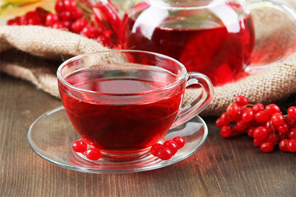 Prednosti i štete čaja od viburnuma