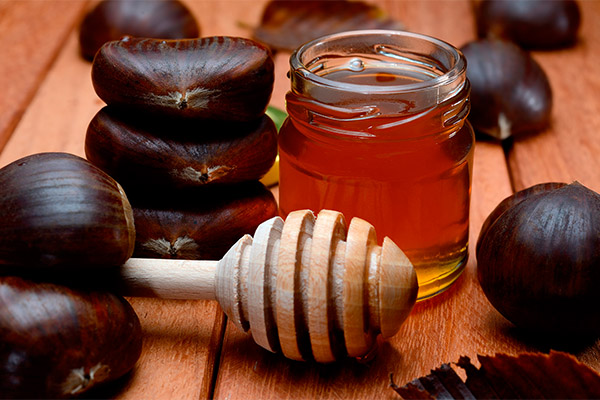 Prednosti i štete meda od kestena