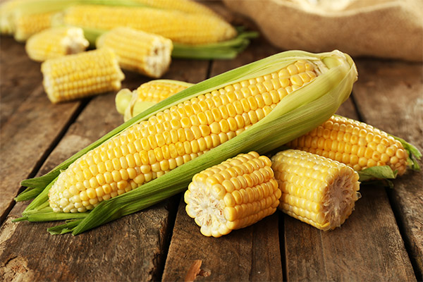 Výhody a poškození kukuřice