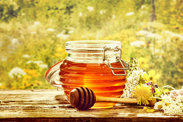 Výhody a poškodenia môžu med