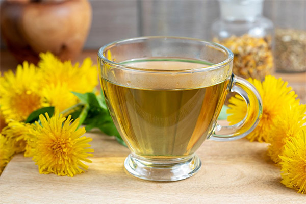 Výhody a poškodenie púpava čaju