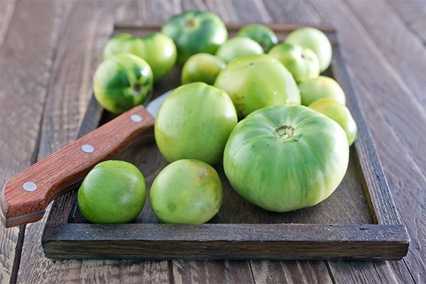 Výhody a poškození zelených rajčat