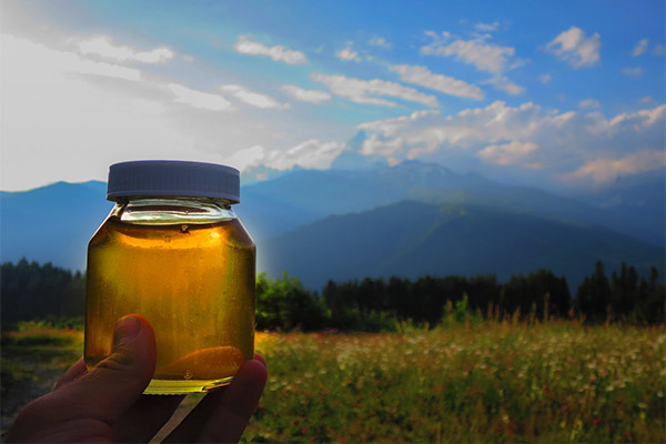 O uso do mel da montanha na medicina