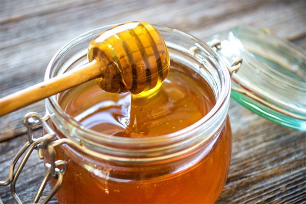 استخدام العسل في الطبخ