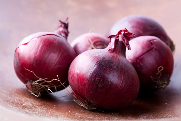 The use of blue onions in folk medicine
