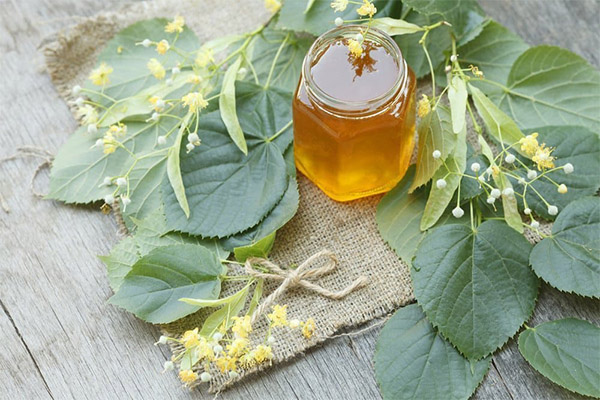 Receitas de medicina tradicional com mel de tília