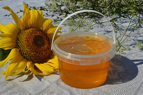 Tradiční medicína recepty s slunečnicový med