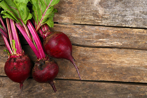 Beets in cosmetology