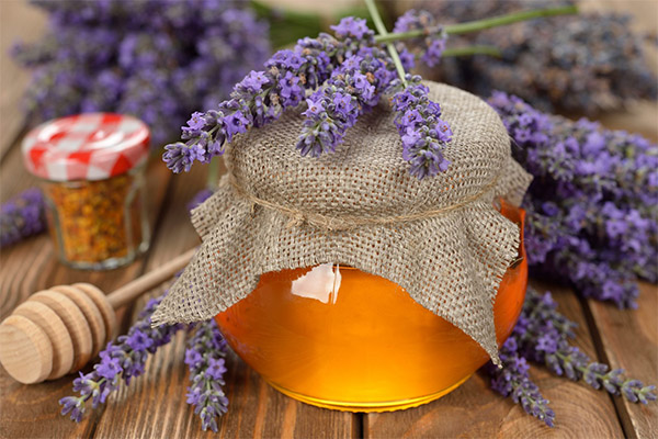 What is lavender honey good for?