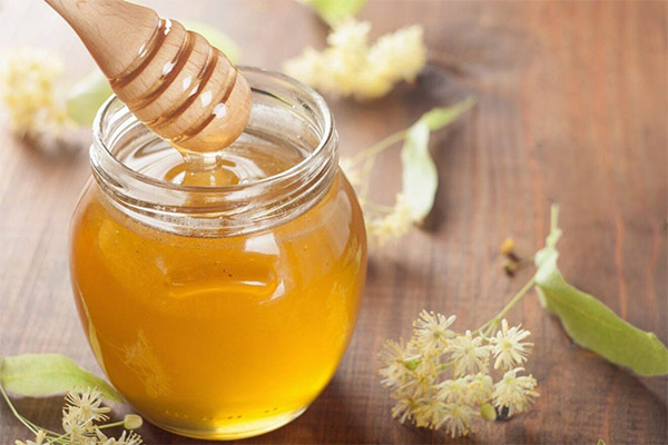 Apa itu madu linden yang berguna