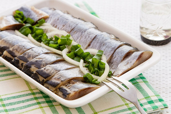 What is salted herring useful for?
