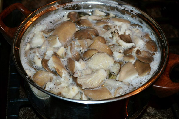 Jak vařit houby