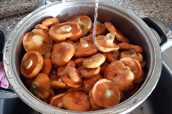 Cum să gătești ciuperci
