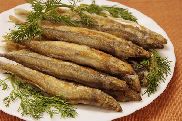 How to cook capelin tasty