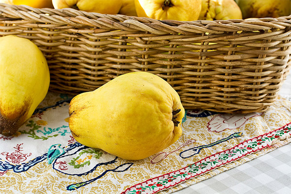 How to choose and store quince
