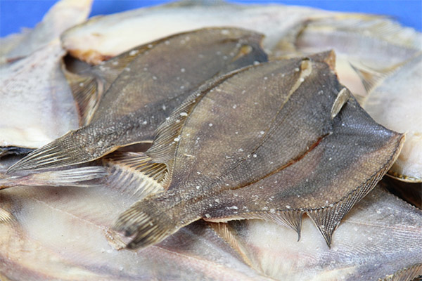 How to choose and store flounder
