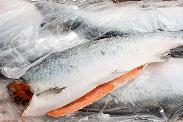Cara memilih dan menyimpan chum salmon