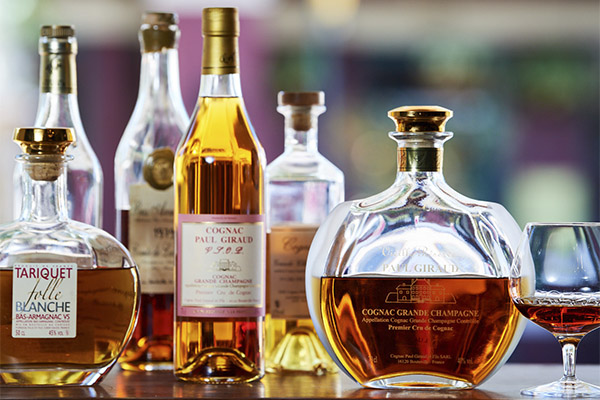 Cách chọn và lưu trữ rượu cognac