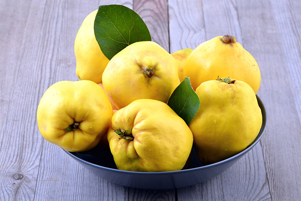 Useful properties of quince