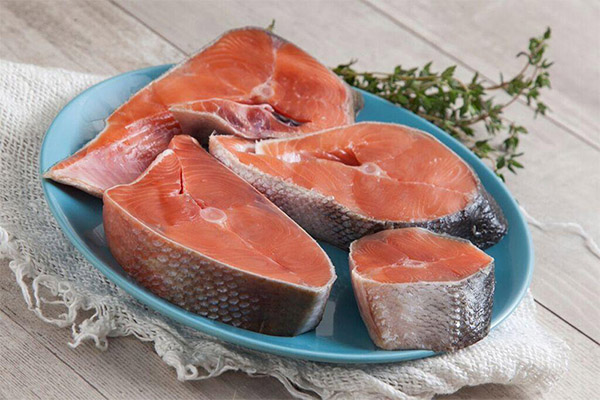 Propriétés utiles du saumon kéta