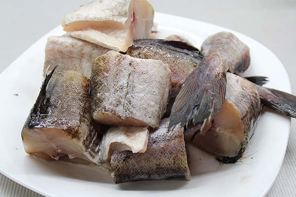 Useful properties of pollock fish