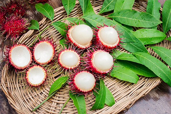 The use of rambutan fruit in medicine