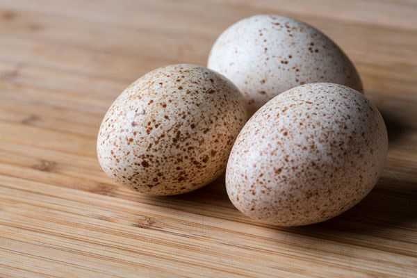 Penggunaan telur ayam belanda dalam kosmetologi