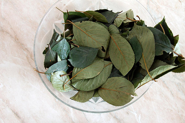 Tipos de compuestos curativos con hojas de cerezo