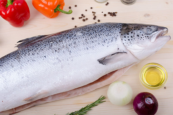 O que pode ser cozido com salmão