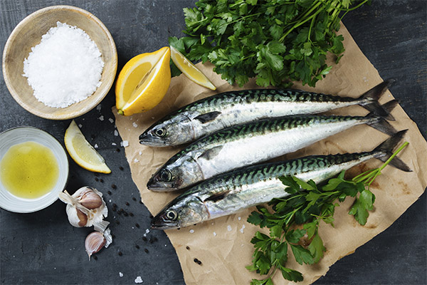 What can be prepared from mackerel