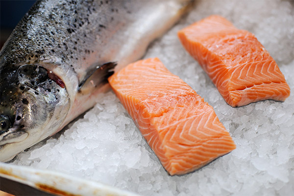 كيفية اختيار وتخزين سمك السلمون المرقط
