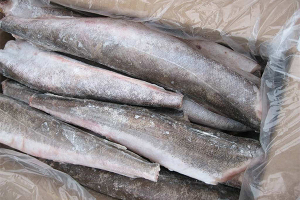 Ako si vybrať a uložiť ryby merlúzy európskej