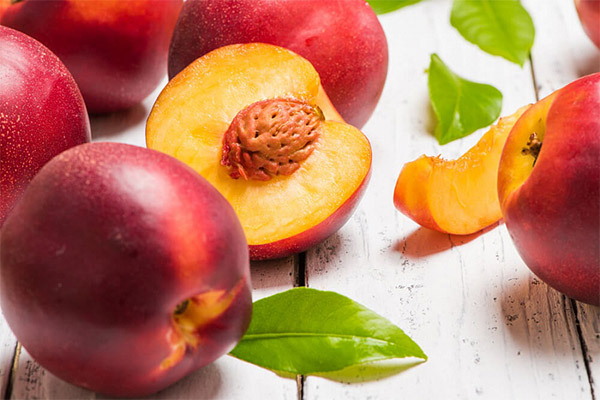Hvilke frugter kan og ikke kan spises med gastritis