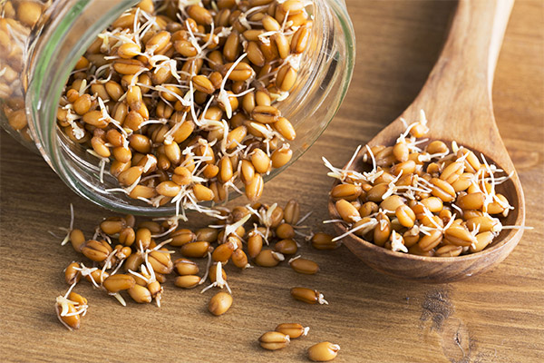 Какви зърнени храни могат и не могат да се консумират при гастрит