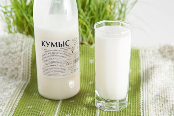 Vad mjölkprodukter kan och inte bör konsumeras i diabetes