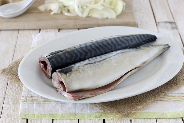 Hvad fisk og skaldyr kan og ikke bør spises med gastritis