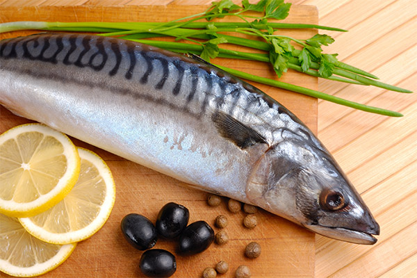 Quel type de poisson et de fruits de mer peut et ne doit pas être consommé avec une pancréatite