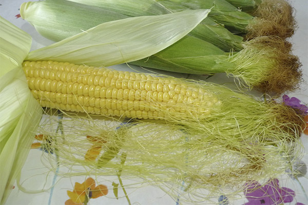 The healing properties of corn stigmas