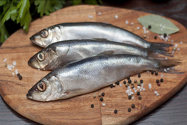 Sifat herring yang berguna