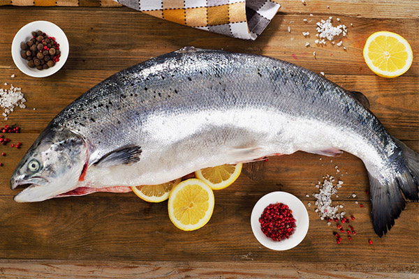 Les avantages et les inconvénients du saumon