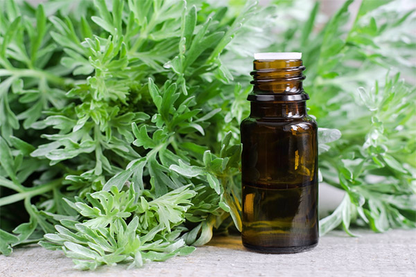 The use of wormwood in cosmetology