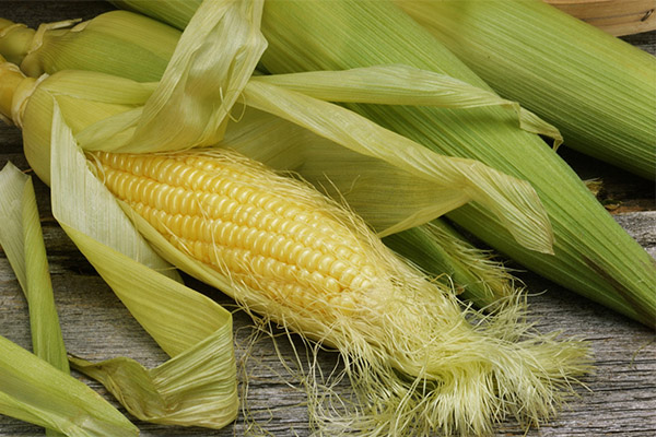 Ellenjavallatok a kukorica stigmák használatához