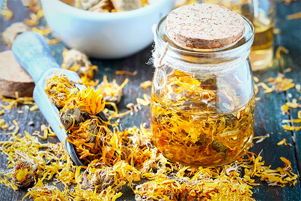 Types of healing compounds with marigolds