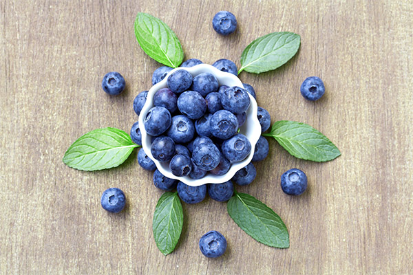 Jenis sebatian perubatan dengan daun blueberry
