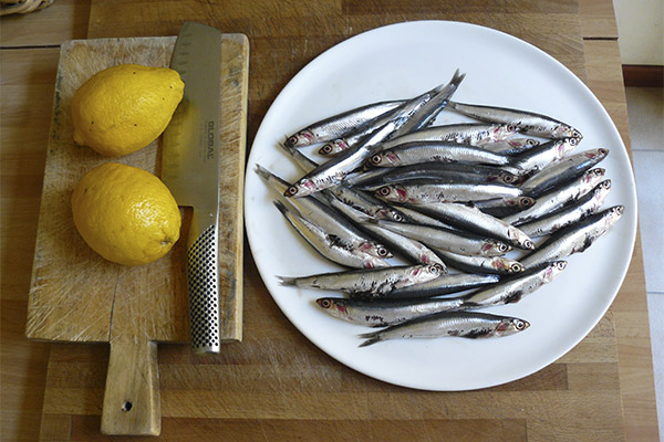 O que pode ser cozido a partir de anchovas