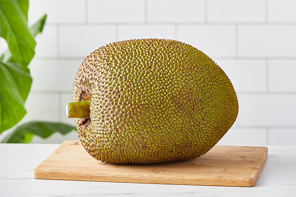 Što se može kuhati od jackfruit-a