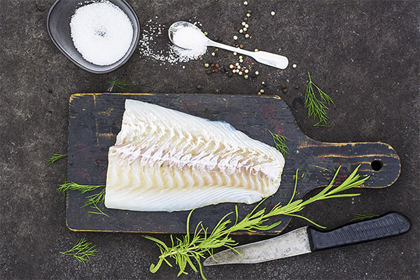 Vad kan kokas från torsk: recept